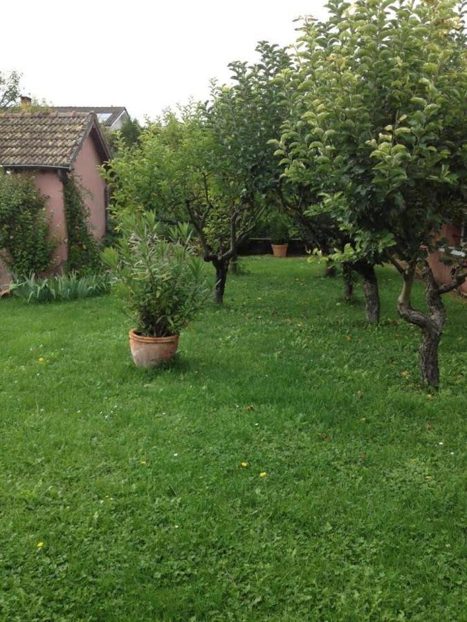 Les Portes Du Vignoble นุย-แซ็ง-ฌอร์ฌ ภายนอก รูปภาพ